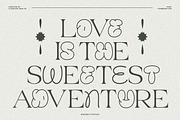 Round Dead - Mix Combination Font, a Serif Font by Flawless And Co (Thumbnail 8 of 10)