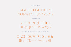 Weaser Modern Serif