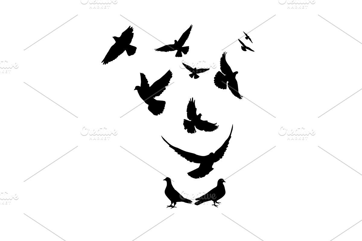 Flying pigeons birds silhouettes on, an Animal Illustration by Nenahliadava Design