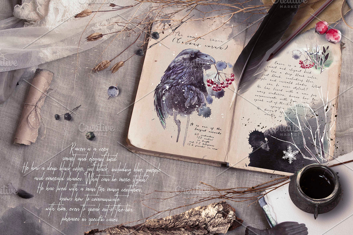 Winter fall bundle. all in 1, an Animal Illustration by Alisa Mikibith Art (Photo 7 of 30)