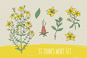 St.John's wort set, seamless pattern, a Decorative Illustration by Good Studio (Thumbnail 1 of 6)