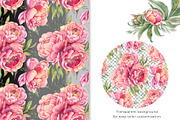 PEONY watercolor clip art & patterns, an Object Graphic by Jeanna Draw (Thumbnail 8 of 15)