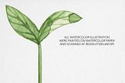 Watercolor Garden Clipart, an Illustration by MilanaDesignShop (Thumbnail 4 of 4)