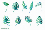 Tropical leaves set, a Decorative Illustration by Colibri Watercolor (Thumbnail 2 of 3)