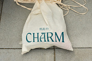 CS Amanda – Elegant Font, a Serif Font by Craft Supply Co. (Thumbnail 7 of 8)