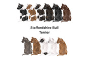Dog Breeds Clipart, an Animal Illustration by ColorfulPT (Thumbnail 4 of 8)