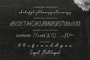 White Dahlia - Romantic Script Font, a Handwritten Font by Bluestype Studio (Thumbnail 9 of 9)
