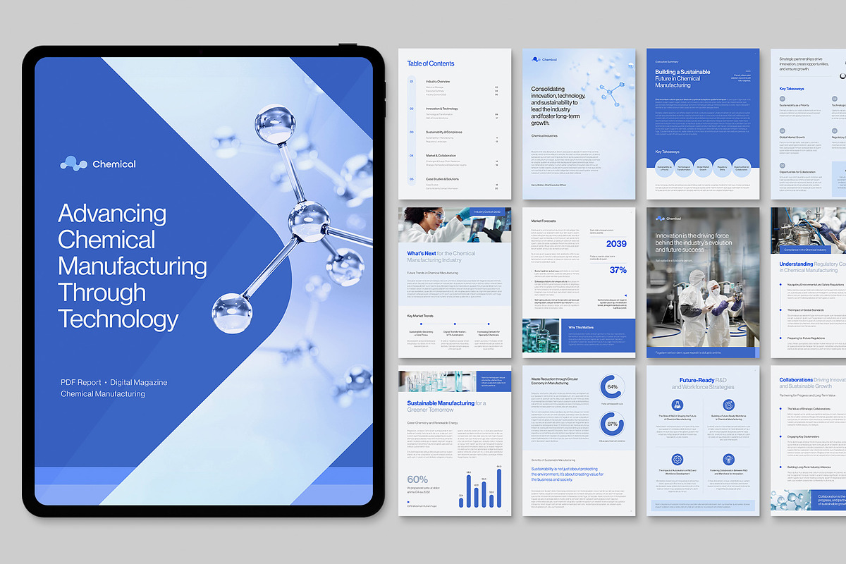 Digital Whitepaper Template, a Brochure Template by BrandPacks (Photo 6 of 6)
