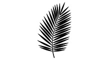 Stylish tropical palm wall decor, an Illustration by Amazin_art (Thumbnail 18 of 33)