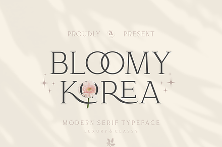 Bloomy Korea - Modern Serif Font