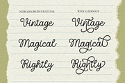 Nebraska Bridge - Monoline Cursive, a Script Font by Airotype (Thumbnail 2 of 13)