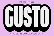 GUSTO, a Sans Serif Font by Loudoun Design Co. (Thumbnail 1 of 9)