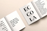 Eccola - Didone Font, a Serif Font by Anya-D (Thumbnail 2 of 17)