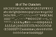 CS Brela Stamp, a Serif Font by Craft Supply Co. (Thumbnail 8 of 8)