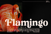 Richard Samuels Modern Serif Font, a Serif Font by Storytype Studio (Thumbnail 3 of 15)