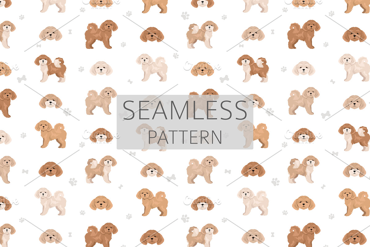 Bichpoo (Bichon Frise Poodle mix), an Animal Illustration by pet design shop (Photo 6 of 6)