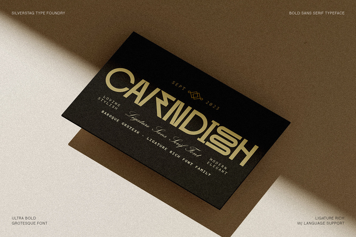 Baroque Grotesk - Ultra Bold Font, a Sans Serif Font by SilverStag Type Foundry (Photo 19 of 20)