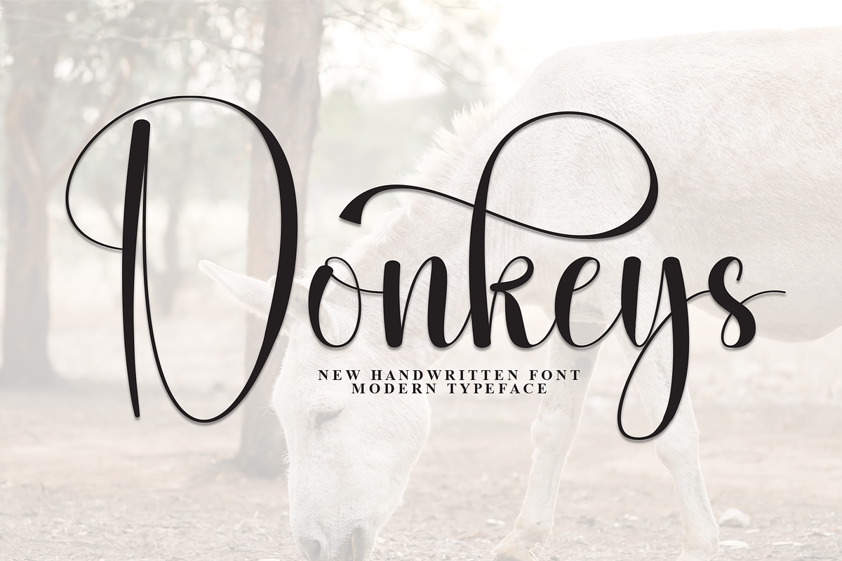Donkeys | Script Font, a Handwritten Font by Scratchones (Photo 1 of 9)