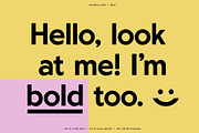Rockhill Sans: A Diverse Sans Serif, a Sans Serif Font by Bnick (Thumbnail 4 of 23)