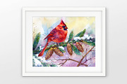 The northern cardinal redbird, a Texture Illustration by MaryAmi (Thumbnail 3 of 3)