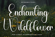 Enchanting Wildflower, a Handwritten Font by FreshTypeINK (Thumbnail 1 of 8)