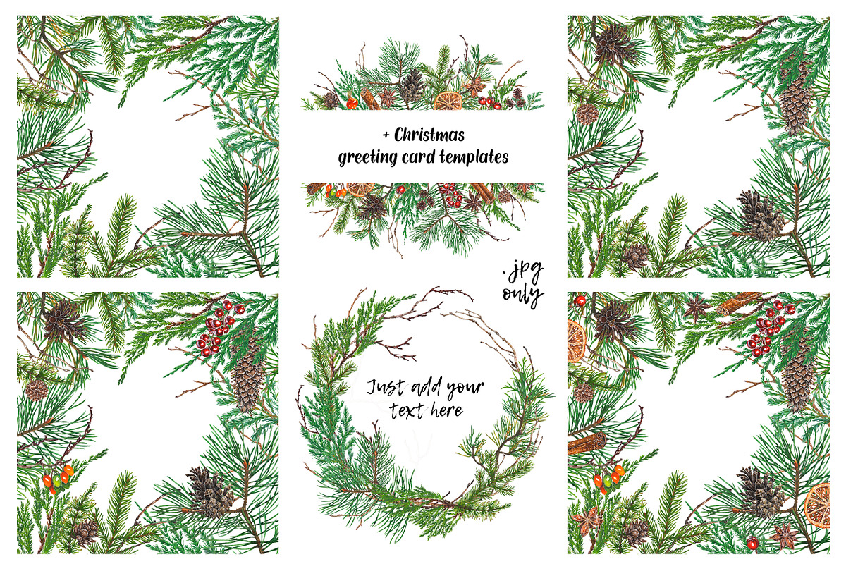 Winter collection, a Decorative Illustration by Margo Miller (Photo 5 of 9)