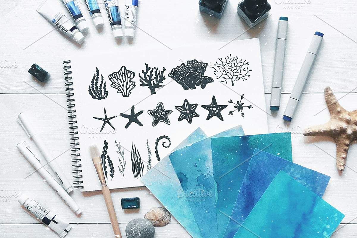 Ocean is calling: nautical clipart, an Animal Illustration by harmonia_green_art (Photo 5 of 9)