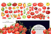 Watercolor TOMATOE, a Food Illustration by JennyColorArt (Thumbnail 5 of 9)