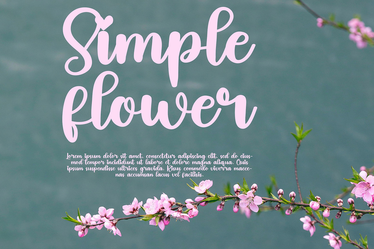 Birthday, a Script Font by FreshTypeINK (Photo 5 of 8)