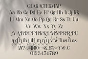 Alfines || Modern Classy Serif Font, a Serif Font by Ermedia Studio (Thumbnail 9 of 10)