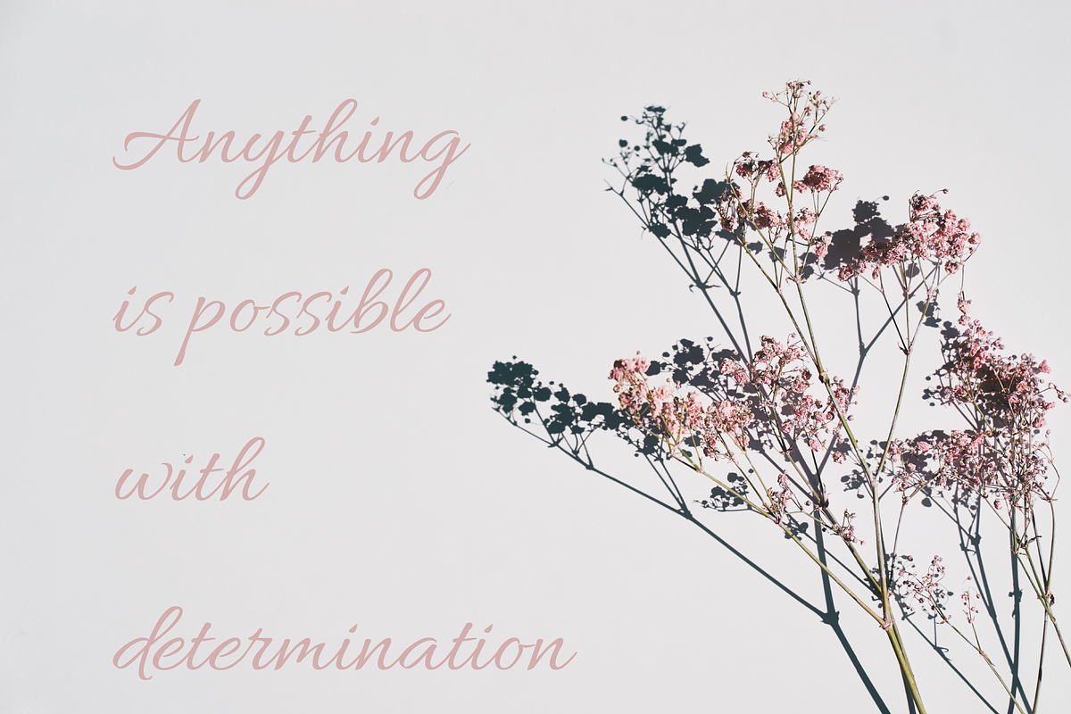 Glenor Script Font, a Script Font by Creative Foundry (Photo 6 of 9)