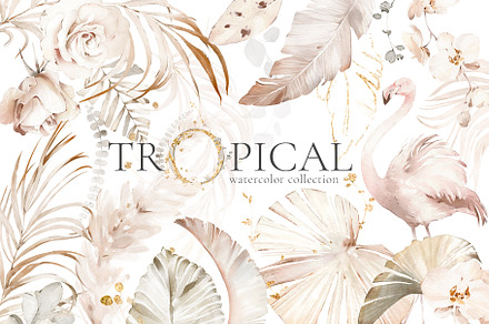Tropical Watercolor Creamy Set