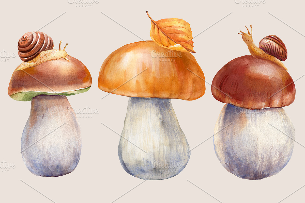 Mushrooms Forest watercolor painting, an Object Illustration by Hanna Hryharenka (Photo 9 of 11)