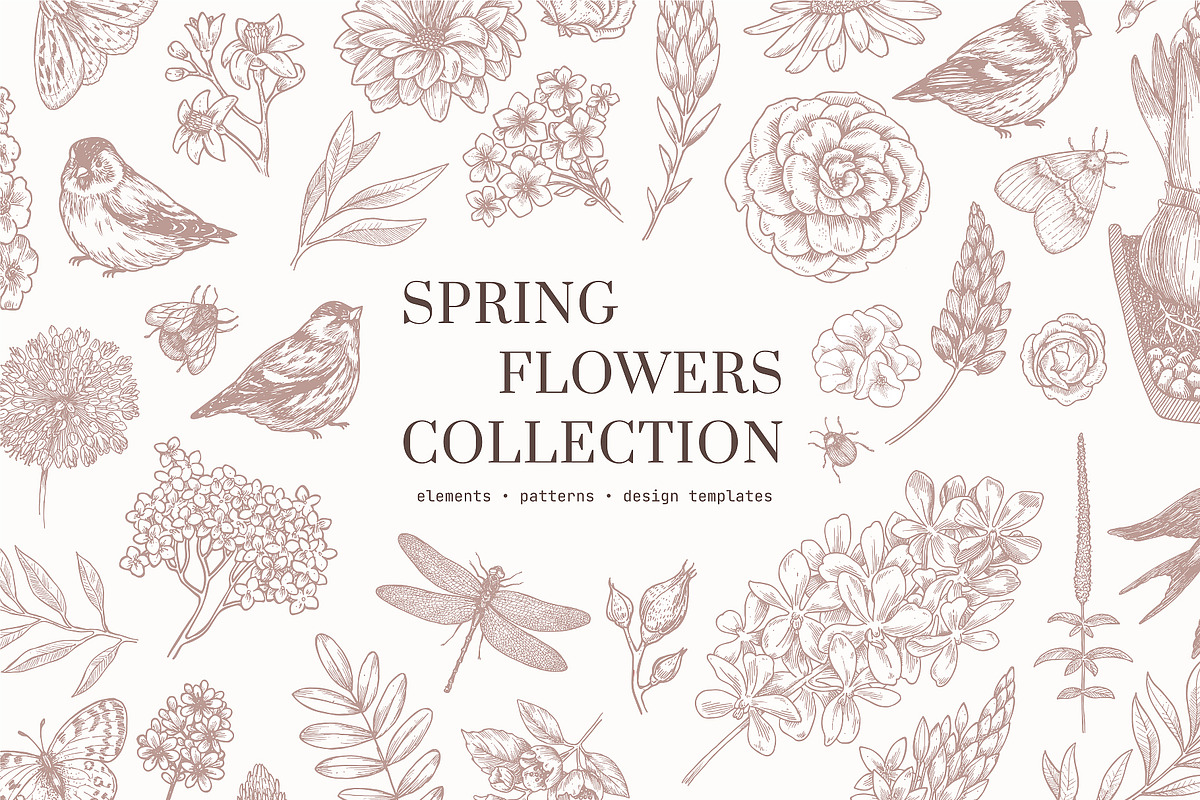 Spring Flowers Collection, an Illustration by adehoidar (Photo 1 of 9)
