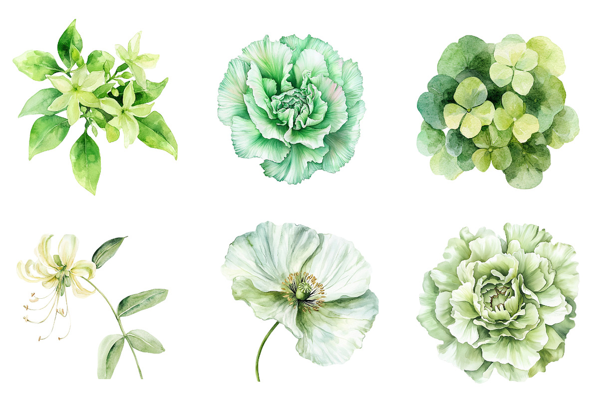 Green Blossom Spring Clipart, an Illustration by CreationArt (Photo 5 of 5)