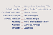 Chucara next, a Serif Font by Letritas (Thumbnail 7 of 14)