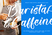 Bellfast Telford Modern Bold Script, a Script Font by stylishtype.co (Thumbnail 6 of 20)