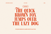 Vintageria Elegance, a Serif Font by Get Studio (Thumbnail 5 of 17)