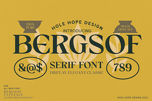 Bergsof Elegant Classic Font