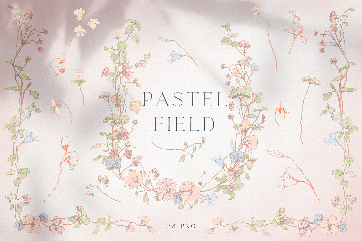 Pastel Floral collection, an Illustration by Sensual Art (Photo 1 of 10)