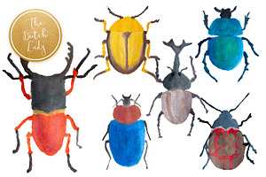 Handpainted Insect Clipart Set