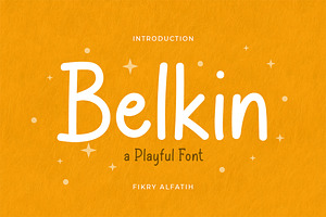 Belkin - Playful Font