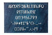 THE REBORN, a Sans Serif Font by FreshTypeINK (Thumbnail 6 of 6)