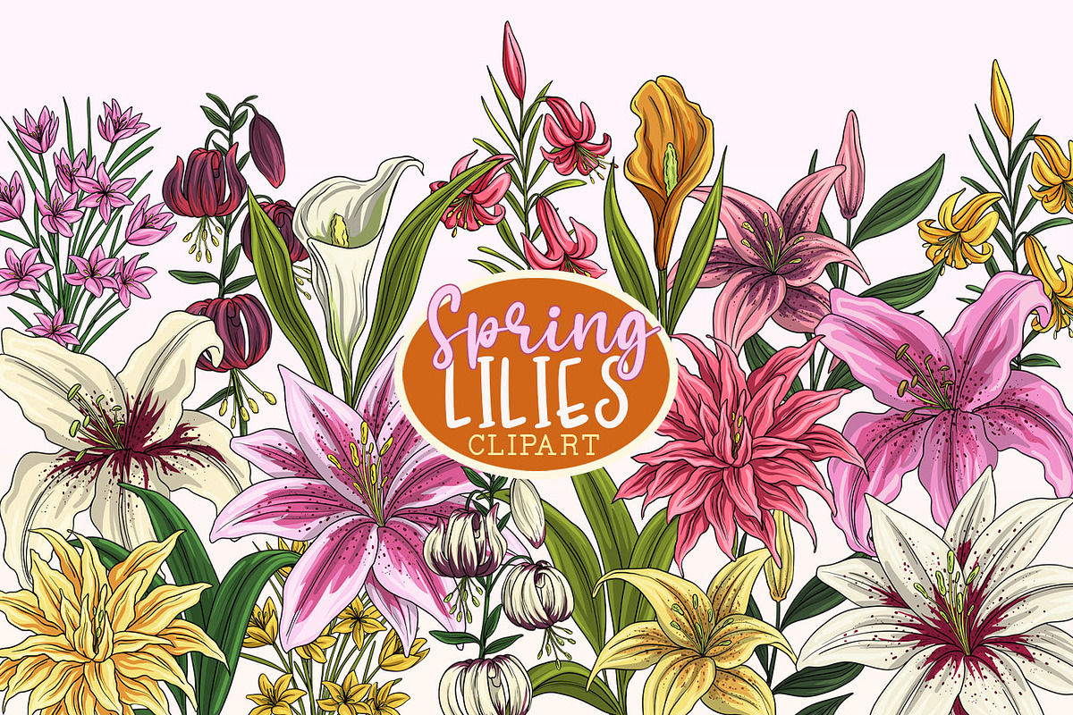 Lily Clipart PNGs, Spring Lilies, a Decorative Illustration by SLS Lines (Photo 2 of 6)