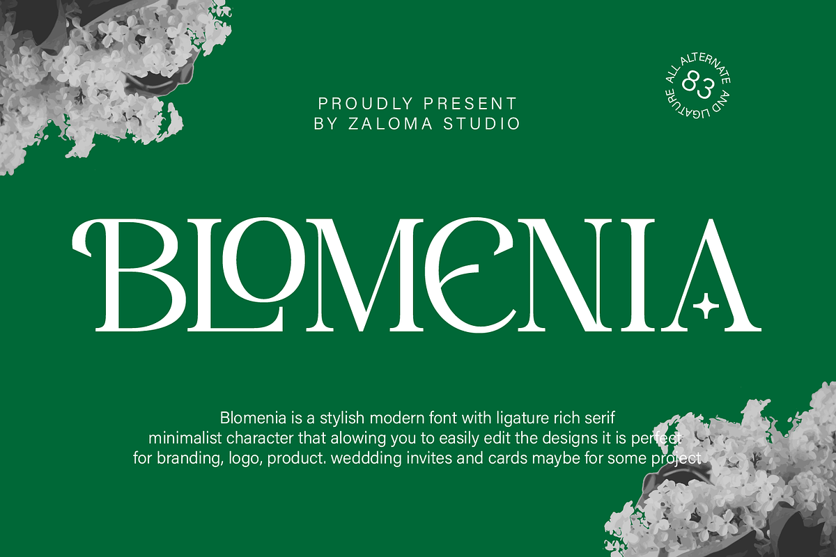 Blomenia, a Serif Font by Zaloma Studio (Photo 1 of 18)