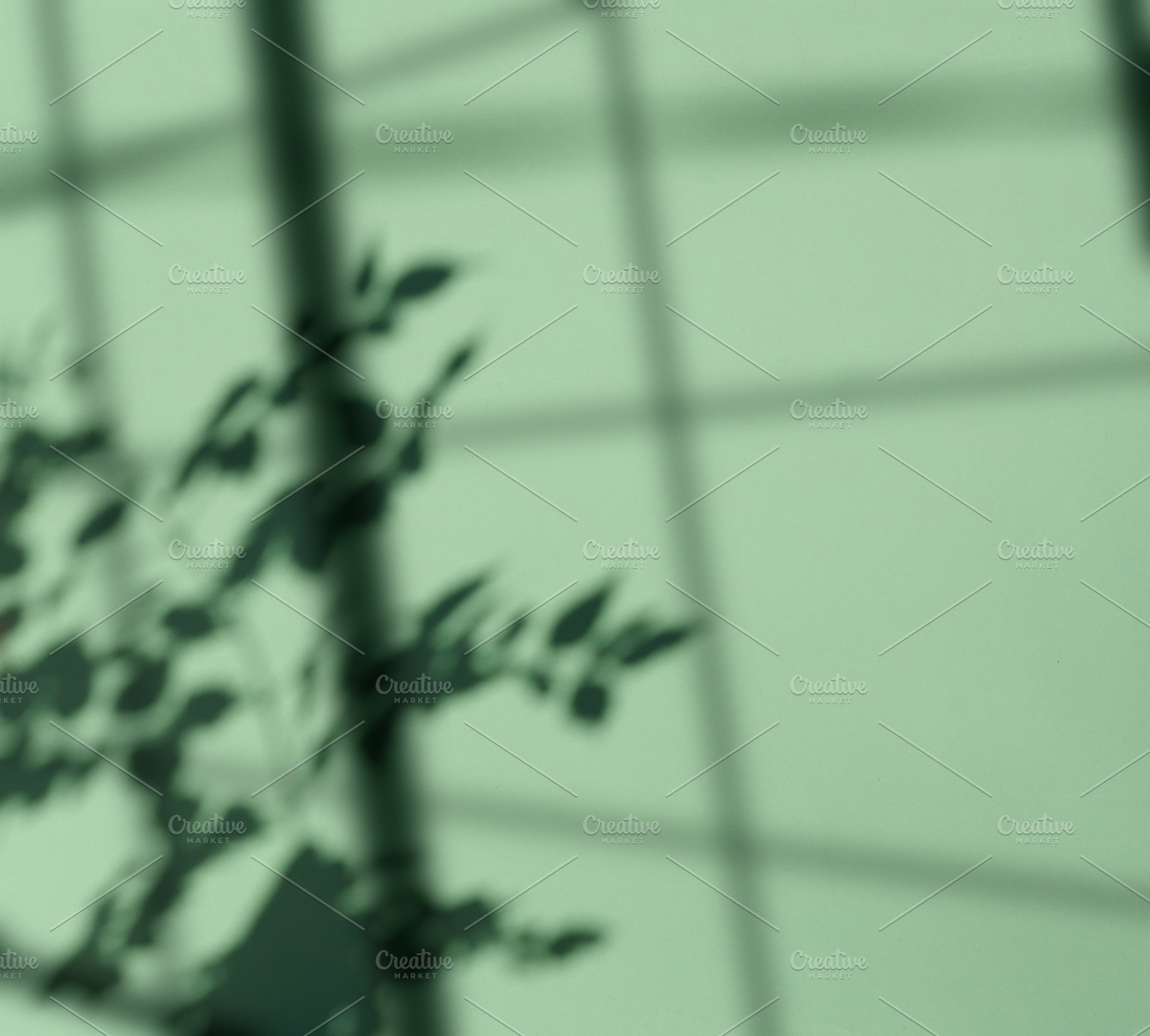 Soft blurred shadow of a leafy plant cast on translucent glass,, a Background Photo by ndanko