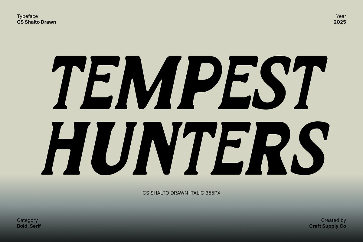 CS Shalto Drawn, a Serif Font by Craft Supply Co. (Photo 7 of 8)