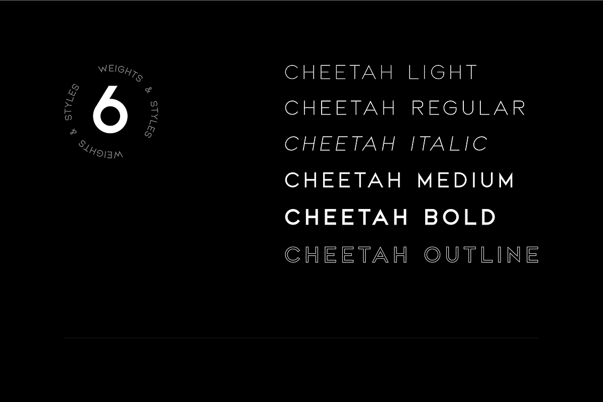 CHEETAH - Sans Serif / Display, a Sans Serif Font by Uniko Studio (Photo 2 of 10)