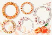 Apricot Fruits & Flowers, watercolor, a Food Illustration by EL_SUHOVA (Thumbnail 7 of 17)