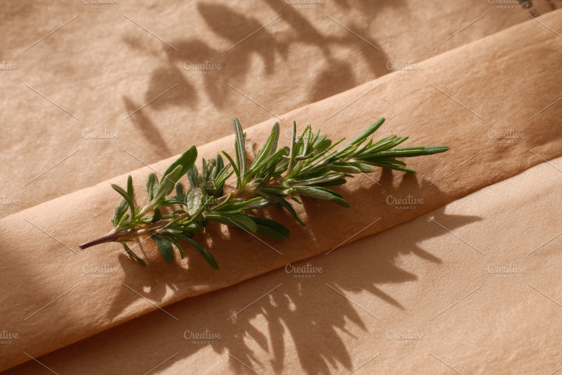 Fresh rosemary sprig on craft paper, a Food & Drink Photo by Virgo Studio